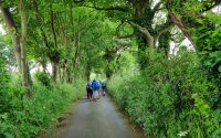 106 Wanderung auf den Green Lanes von Jersey