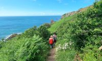 170 Wanderung an der Südküste von Jersey