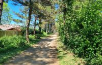 182 Wanderung auf der alten Eisenbahnstrecke nach St Aubin