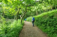 195 Egypt Woods an der Nordostküste von Jersey