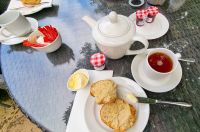 216 Cream Tea und Scones