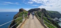 Insel Sark-Roadway