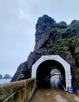 Erste Impressionen Sark (2)