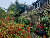 Erste Impressionen Sark (6)