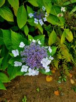 Gärten der Seigneurie (3)