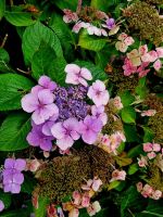 Gärten der Seigneurie (4)