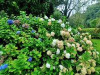 Gärten der Seigneurie (12)