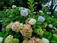 Gärten der Seigneurie (13)