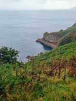 Impressionen Klippenwanderweg (7)