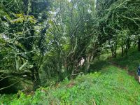 Impressionen Klippenwanderweg (10)