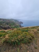 Impressionen Klippenwanderweg (11)