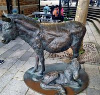 Impressionen St.Peter Port (3)