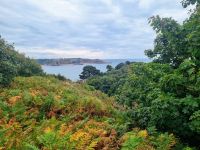 Wanderimpressionen (1)