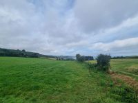 Stimmungsmomente (1)