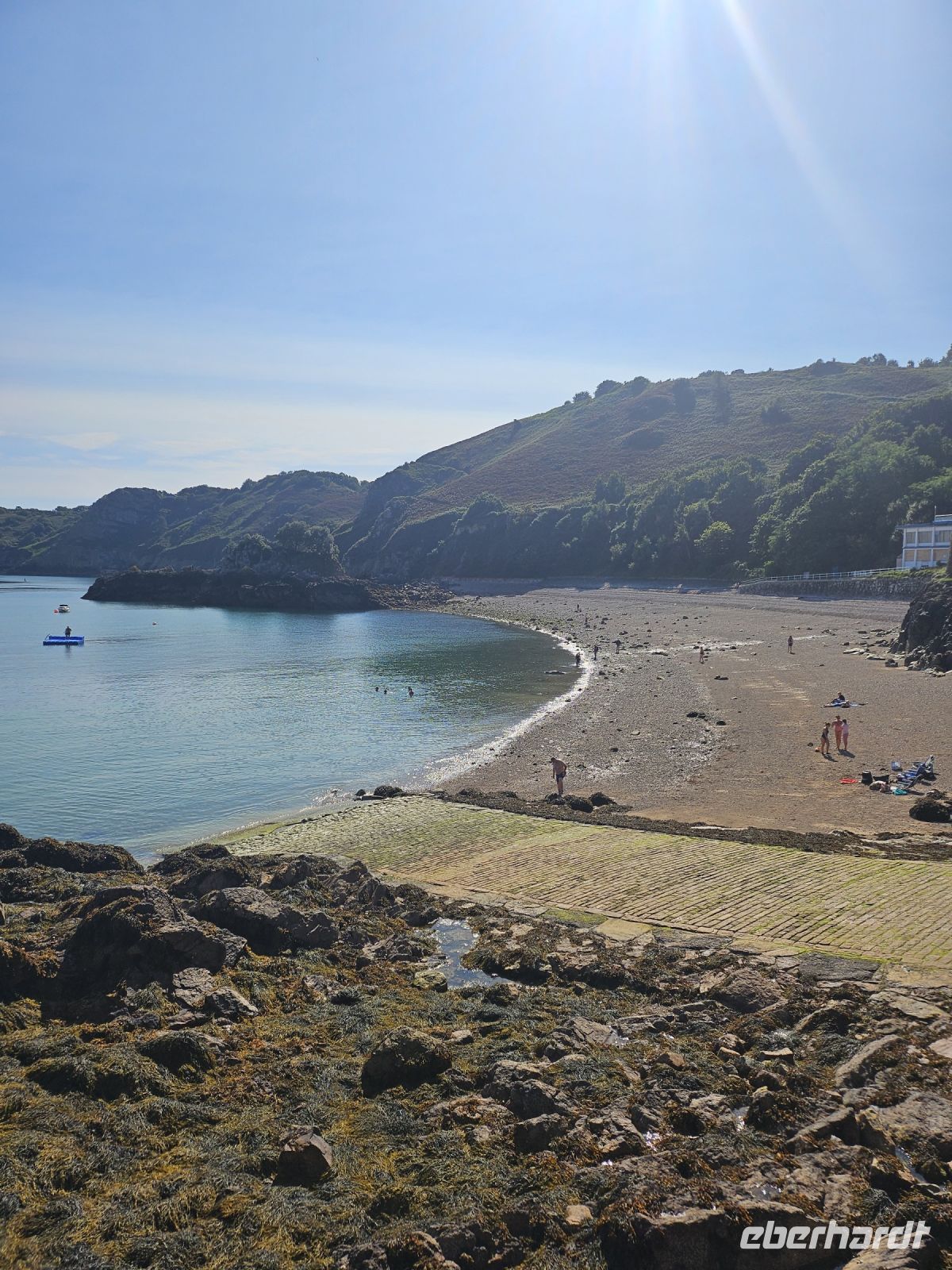 Auf der Suche nach Jakobsmuscheln