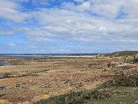 Mondlandschaft bei Ebbe