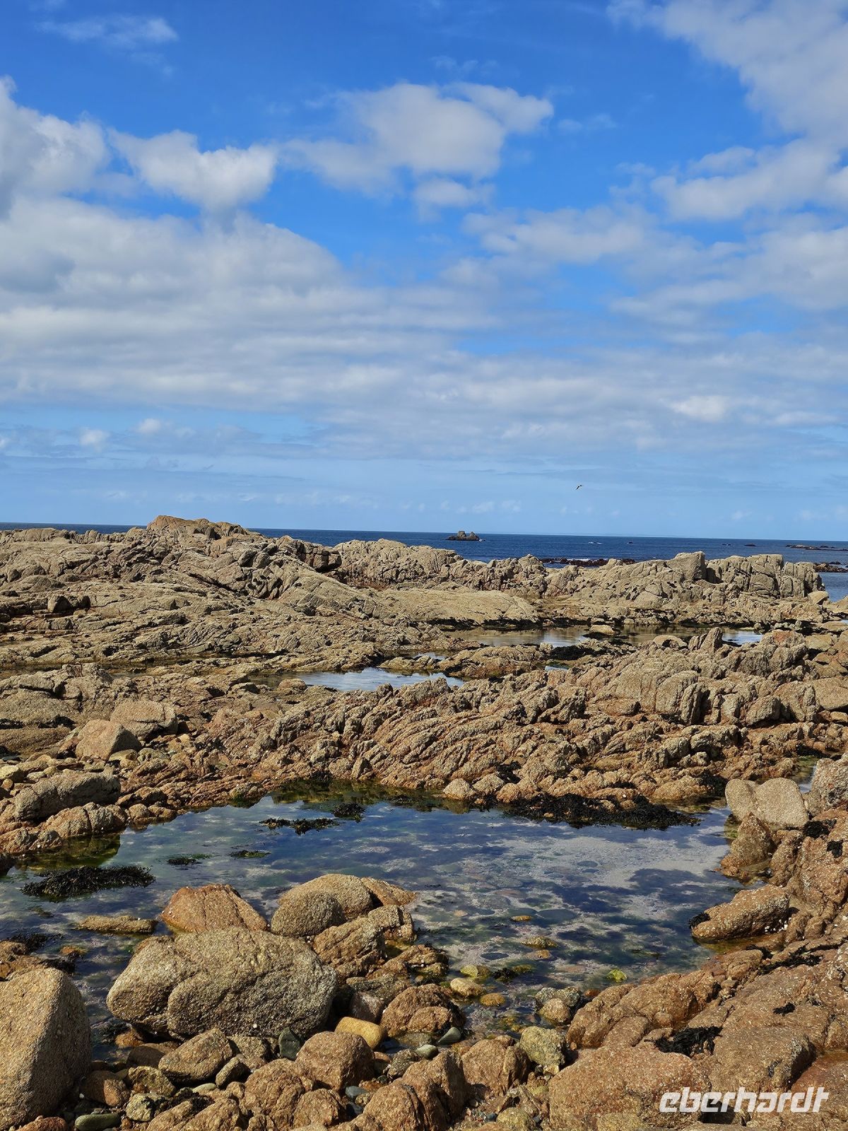 durch die Ebbe freigelegt