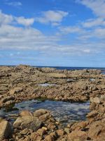 durch die Ebbe freigelegt