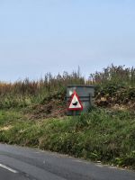 Achtung, wilde Enten!