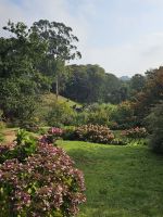 Beginn der privaten Gartentour - man könnte es aber auch 