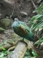 Perfekt an der Umgebung angepasst 