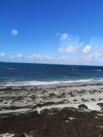 Strand, nichts als Strand