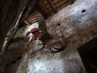 Gehört zum Burgleben dazu - ein Drache...