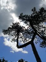 Impressionen aus Samares Manor