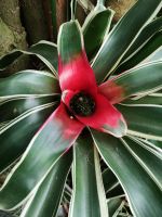 .... eine von vielen.....