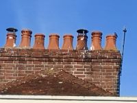 Nicht nur  Hexen benutzen die Kamine als Landefläche.....