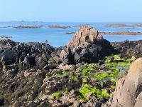 Watt bei La Rocque. Jersey 