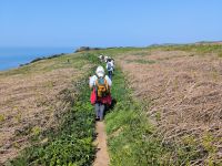 Jersey Küstenwanderung