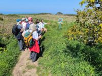 Jersey Küstenwanderung