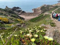 Herrliche Südküste 