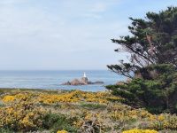 Corbiére Lighthouse in der Ferne 