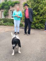 Stolze Gartenbesitzer