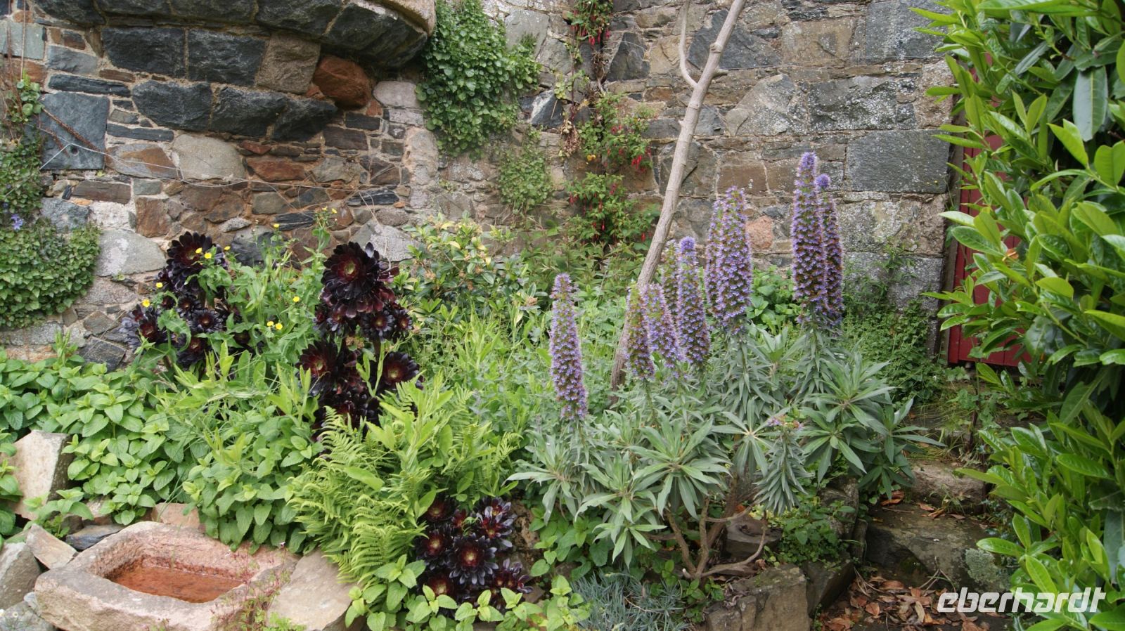 La Seigneurie, House and Gardens - Sark 