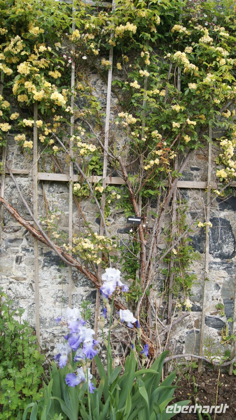 La Seigneurie, House and Gardens - Sark 