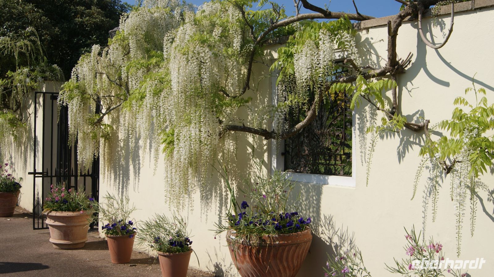 Domaine des Vaux Privatgarten - Jersey