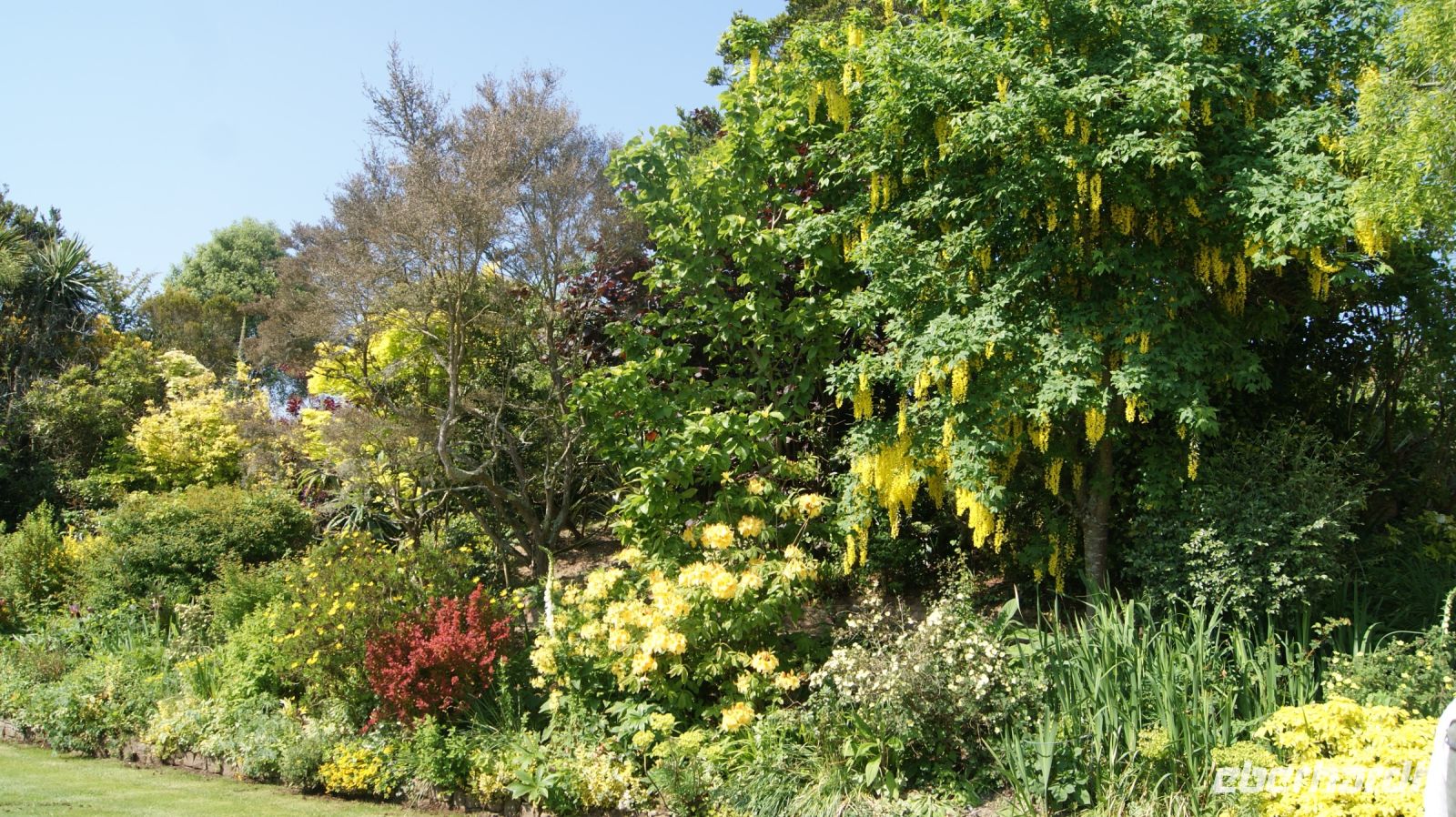 Domaine des Vaux Privatgarten - Jersey