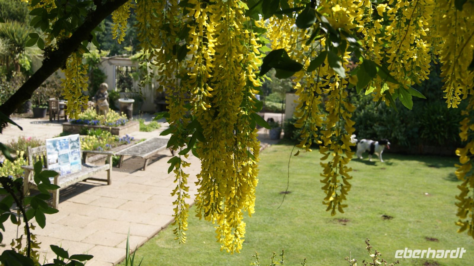 Domaine des Vaux Privatgarten - Jersey