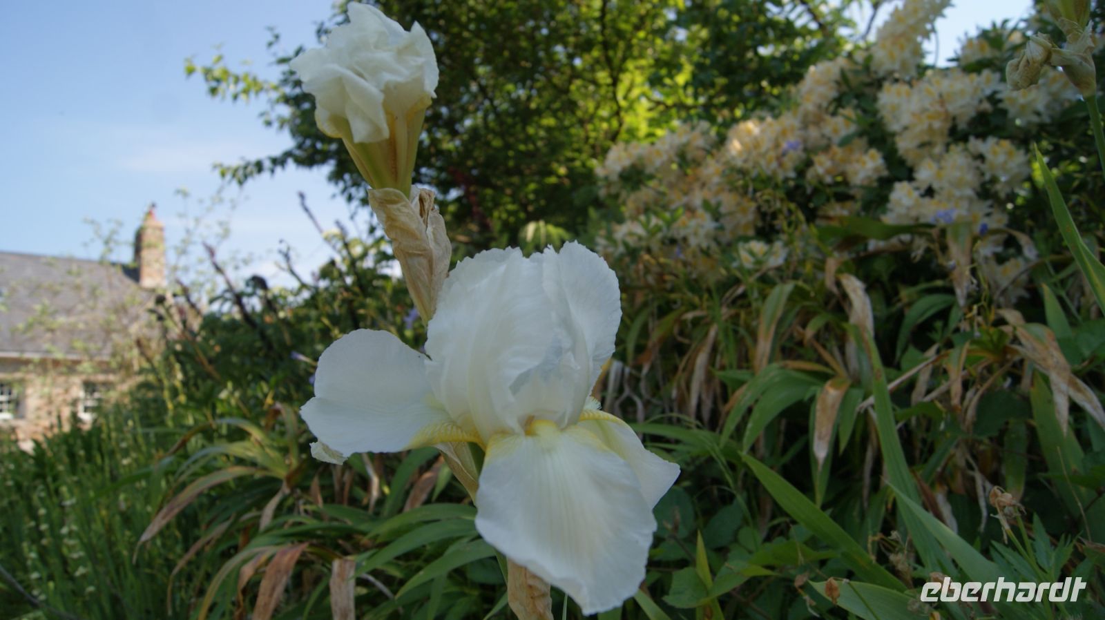 Domaine des Vaux Privatgarten - Jersey