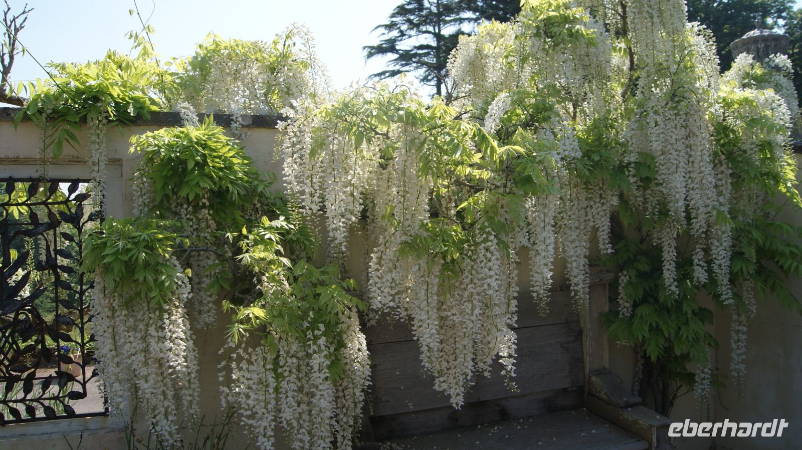 Domaine des Vaux Privatgarten - Jersey