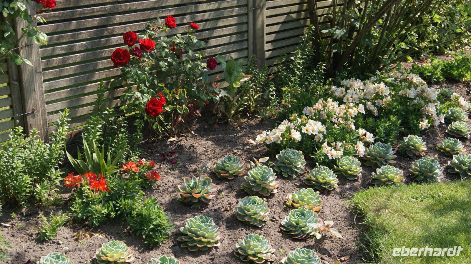 Seafields Gardens Privatgarten - Jersey