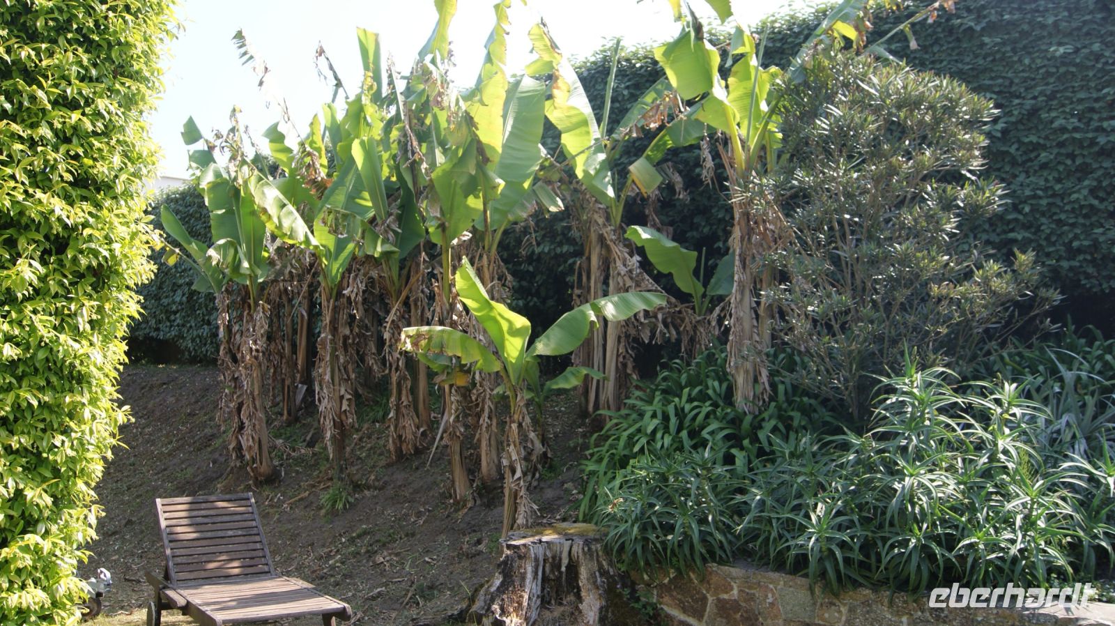 Seafields Gardens Privatgarten - Jersey