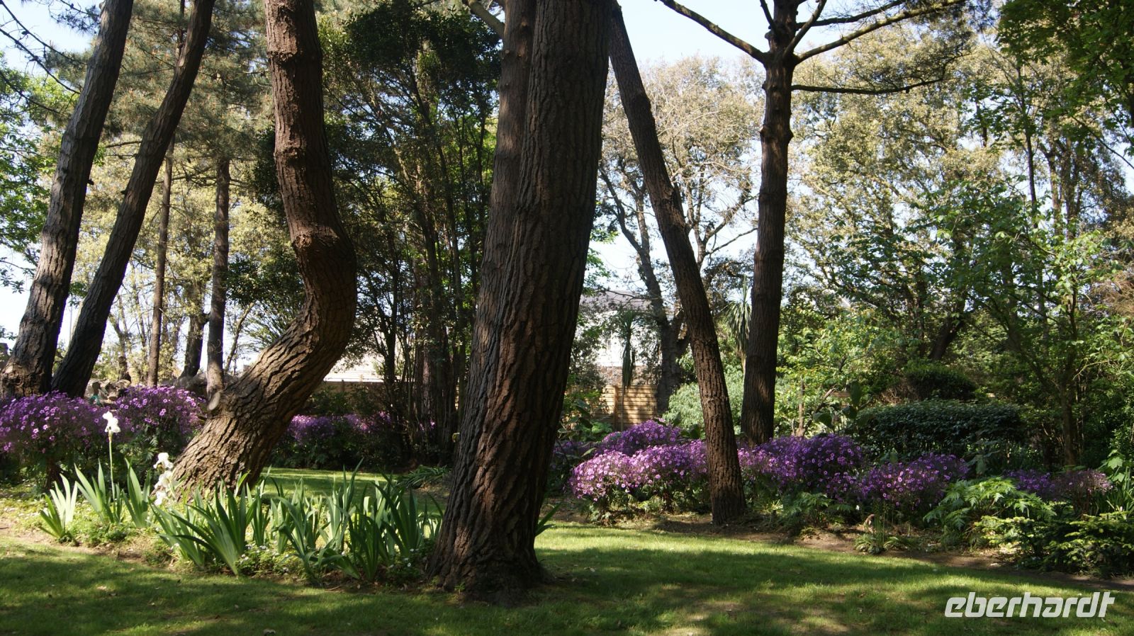 Seafields Gardens Privatgarten - Jersey