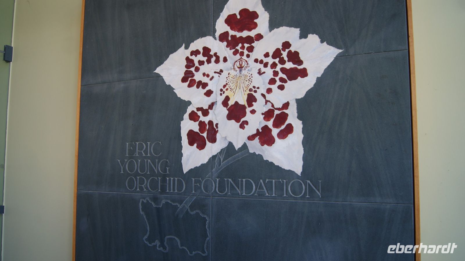 Eric Young Orchid Foundation - Jersey