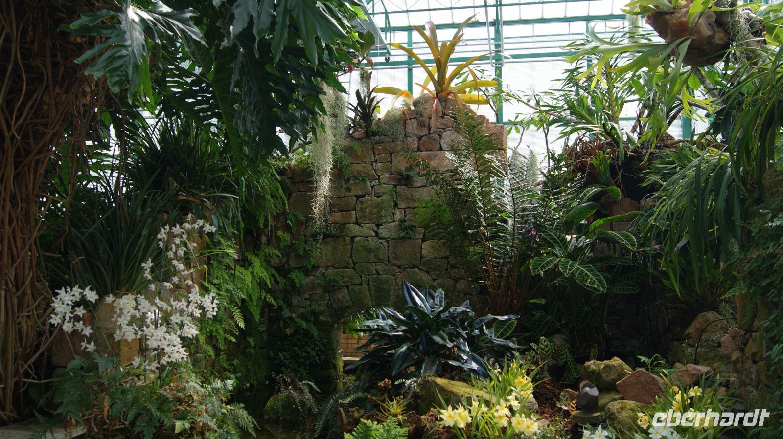 Eric Young Orchid Foundation - Jersey