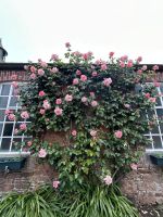 25.05.2025:  Botanischer Garten Samares Manor