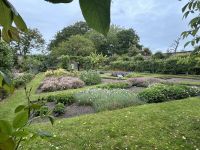 25.05.2025:  Botanischer Garten Samares Manor